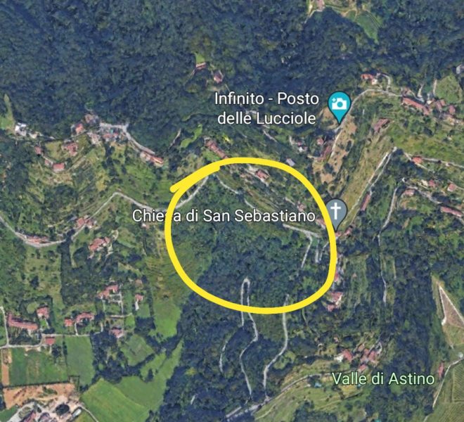 area cerchiata
