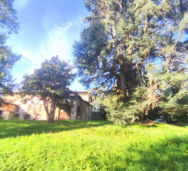 0019245-IMG_20221111_105909-min