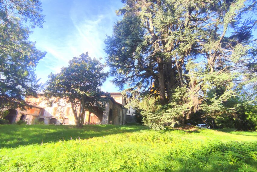 0019245-IMG_20221111_105909-min