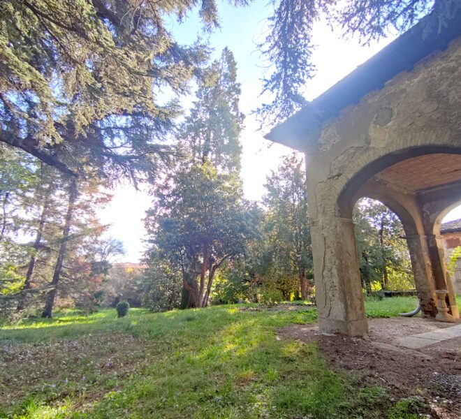 0019253-IMG_20221111_111431-min