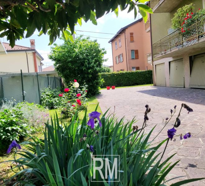 cortile / box