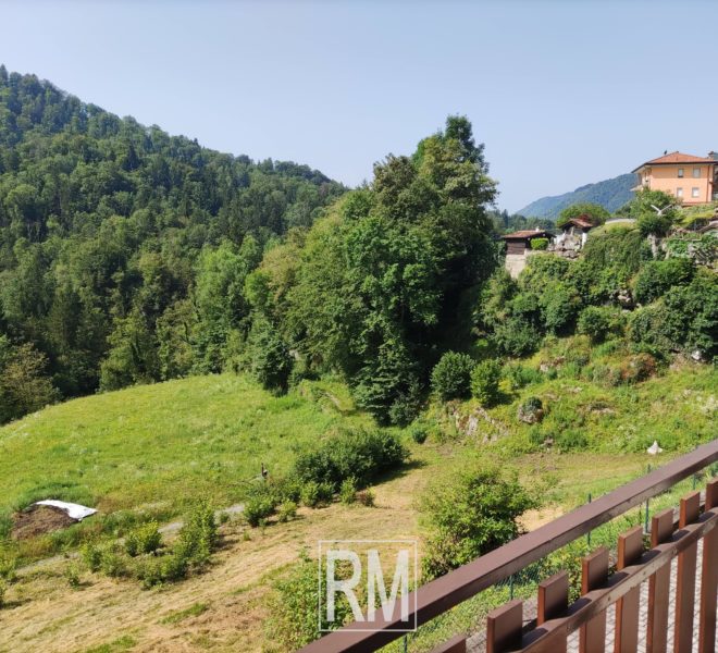 vista panoramica