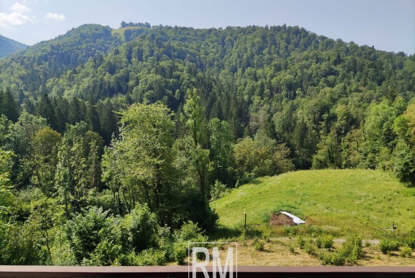 vista panoramica