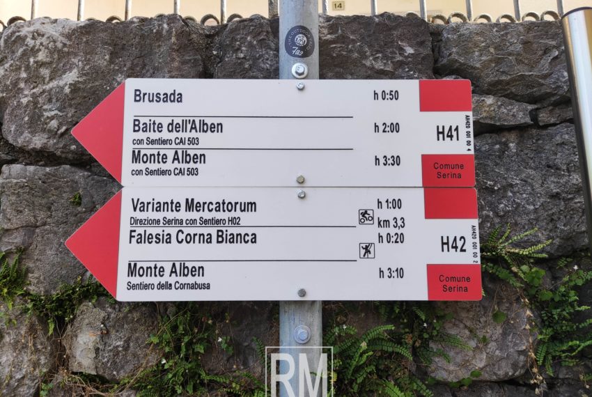 dettaglio