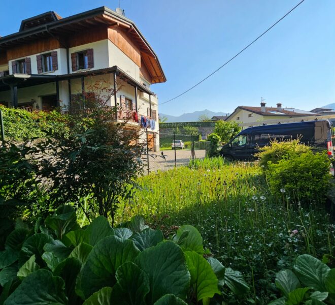 0017445-2dec2956-30ef-4a86-ab48-0cb9ba819123