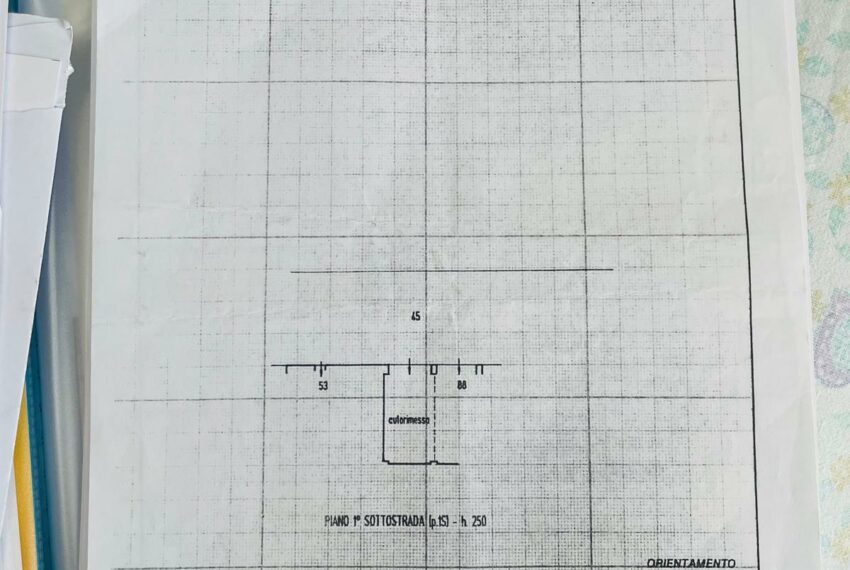 0019845-WhatsApp_Image_2025-07-21_at_17