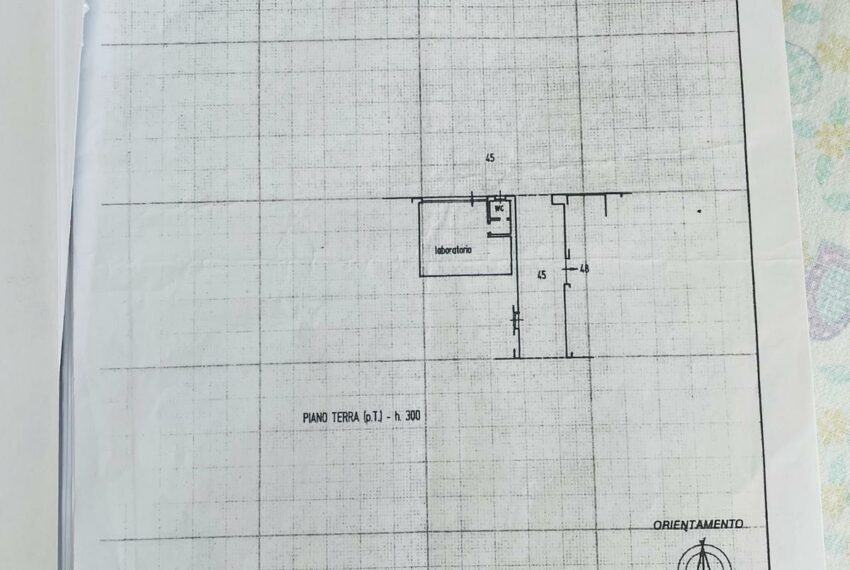 0019846-WhatsApp_Image_2025-07-21_at_17