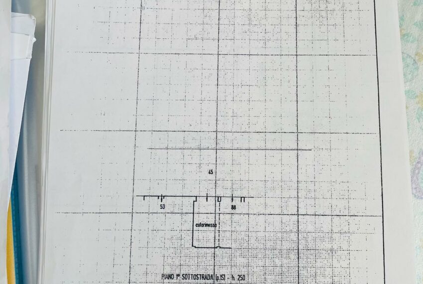 0019847-WhatsApp_Image_2025-07-21_at_17