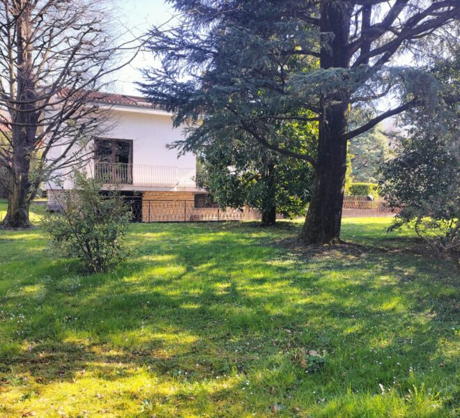 0021157-7eb0300d-b7fa-4d07-81a0-1f6981461f94