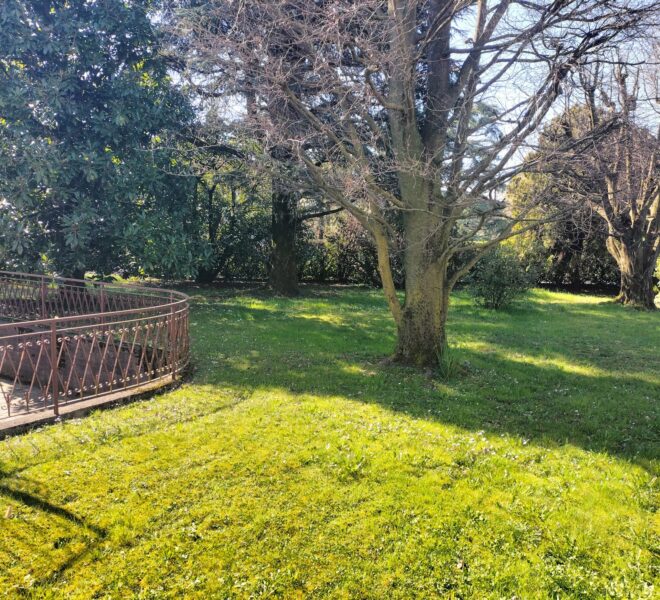 0021158-9a6b613c-766f-4c94-a61d-9bc58fe5c387