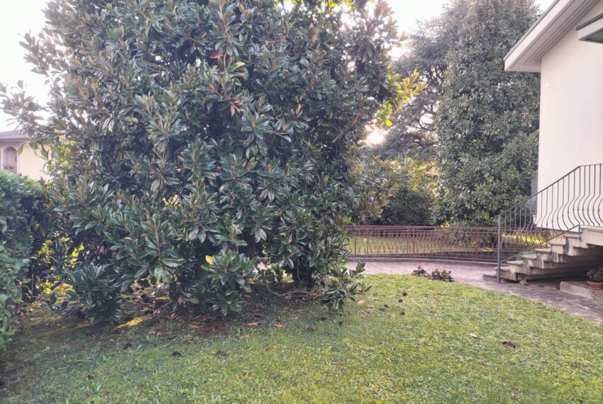 370d45f8-1817-471a-88a1-562d9e9c7cf5