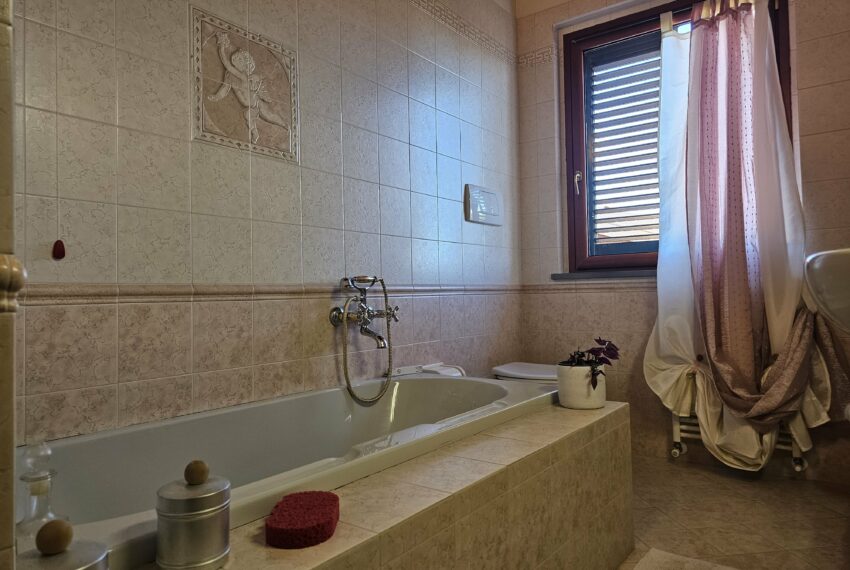 0020172-20251127_142417-min