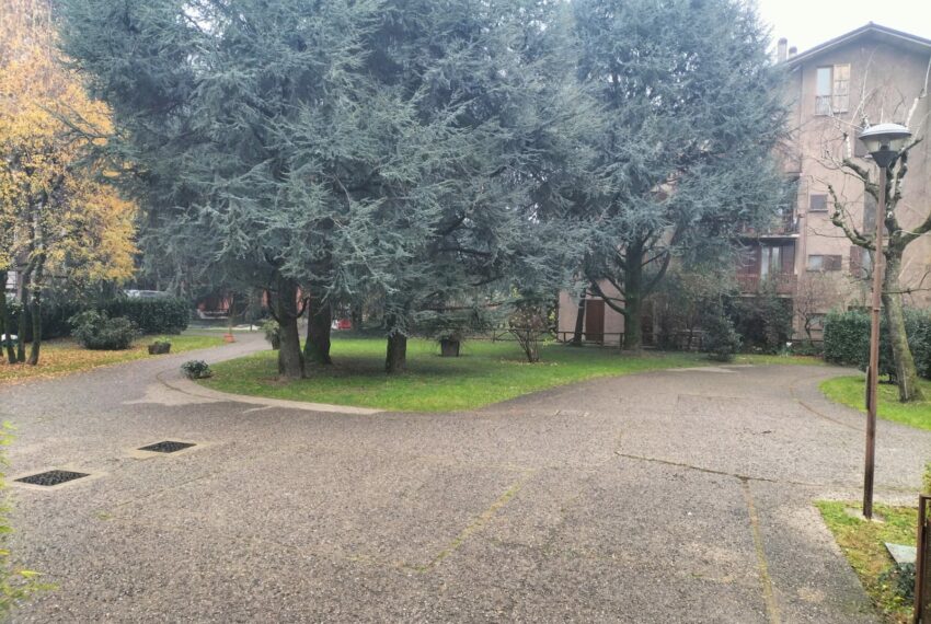 0020320-cd5dbc83-8946-4e63-afb0-44b2573ccb38