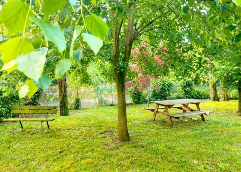 0020325-0020304-7a38c2b3-05cb-4927-a875-ef4471c78669