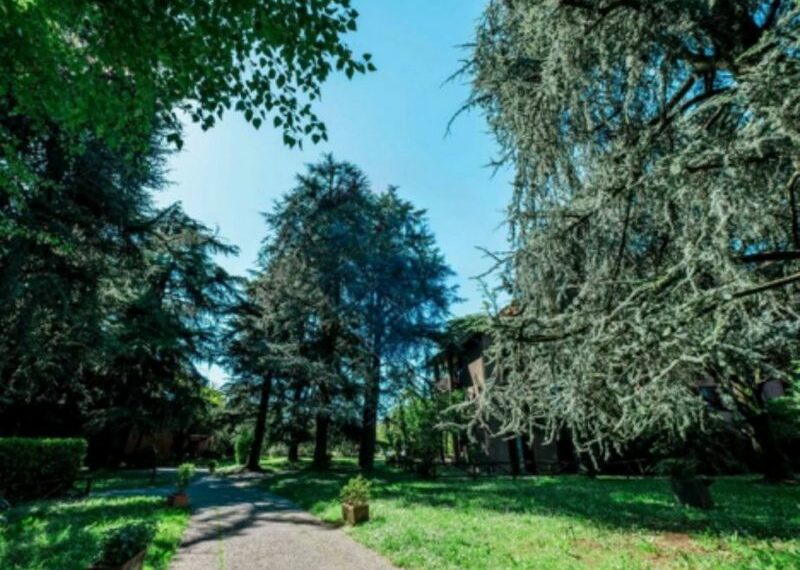 0020330-0020319-b48f2cd9-8019-4d7e-8a69-560af468589e