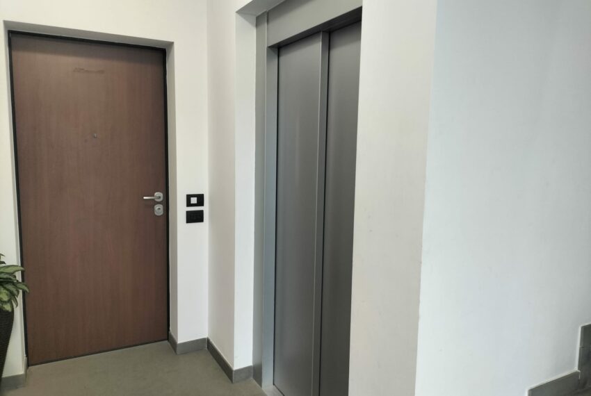 0020335-4b71465a-a857-43ce-b6e3-e3f65613eeee