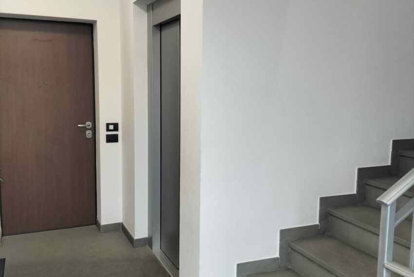 0020355-75602039-cc36-446e-8da2-994b0ff6ea24