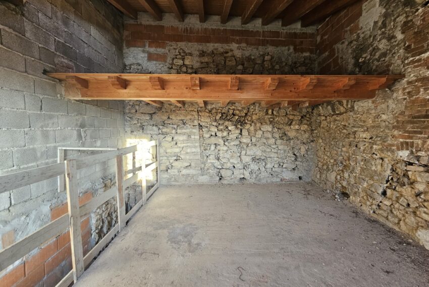 0020384-20251107_155732-min