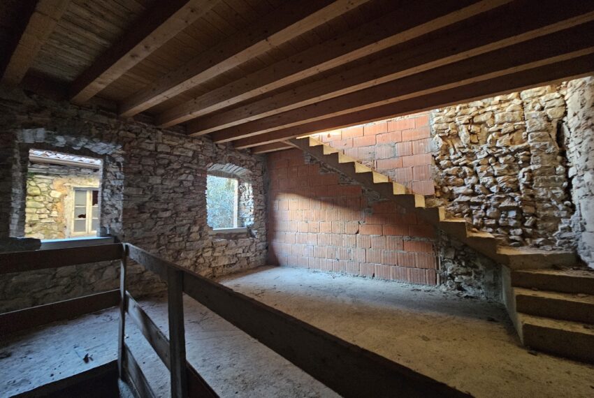 0020401-20251107_160136-min