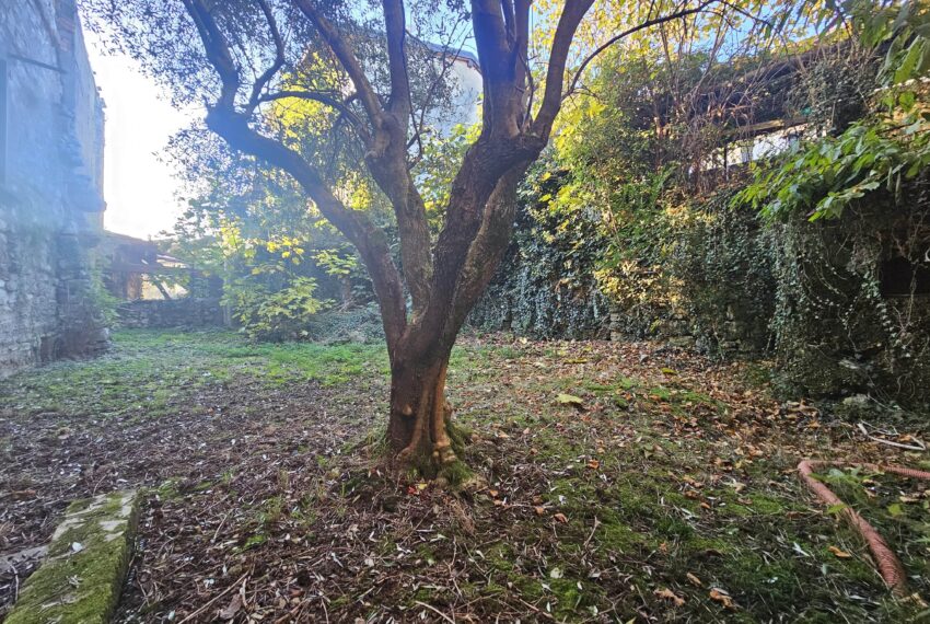 0020406-20251107_160340-min