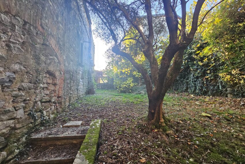 0020407-20251107_160348-min