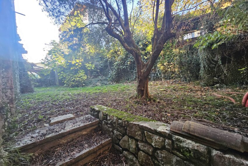 0020409-20251107_160401-min