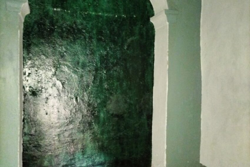 0019920-28dbbf3a-50c0-4b69-8726-772767a673b9