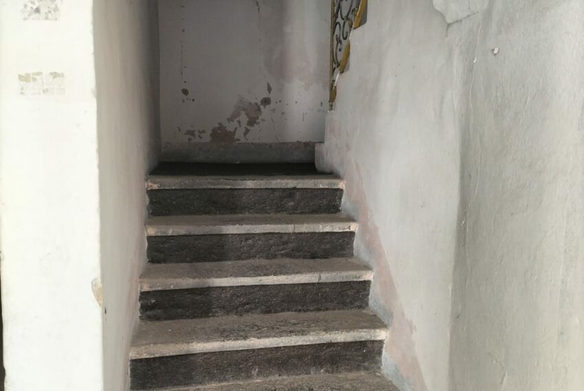 0019924-86d6e76e-218a-47ac-a73f-fc4757445056