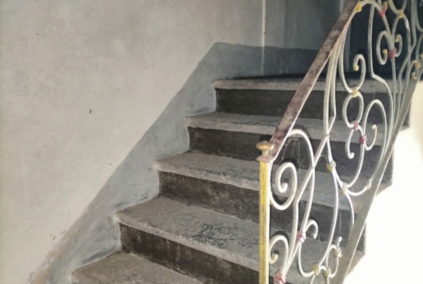 0019932-0079221e-7e53-403f-9544-c347ec59e72e