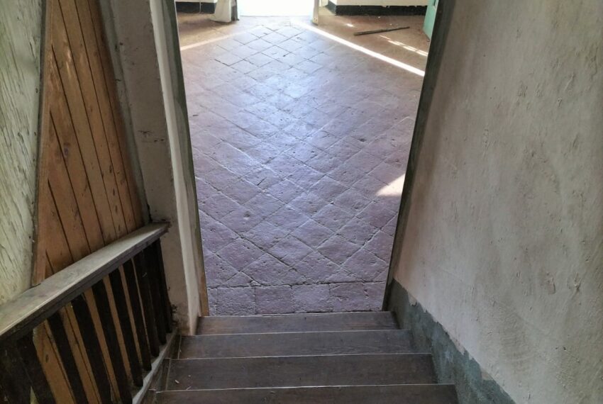 0019935-07483600-bf8a-482c-bd67-b55e612e2444