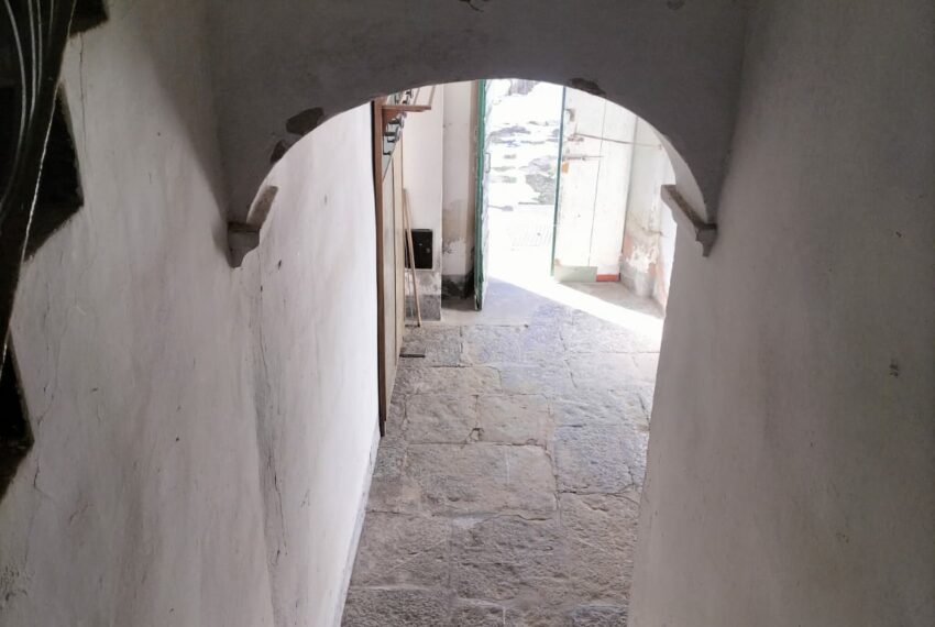 0019942-aeaa0fbb-c033-4bf5-ac9e-e54e2c6ec017