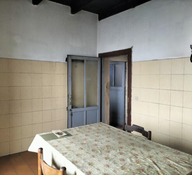 0020704-3fe862ea-d683-496a-9403-4b126a9e4ea9