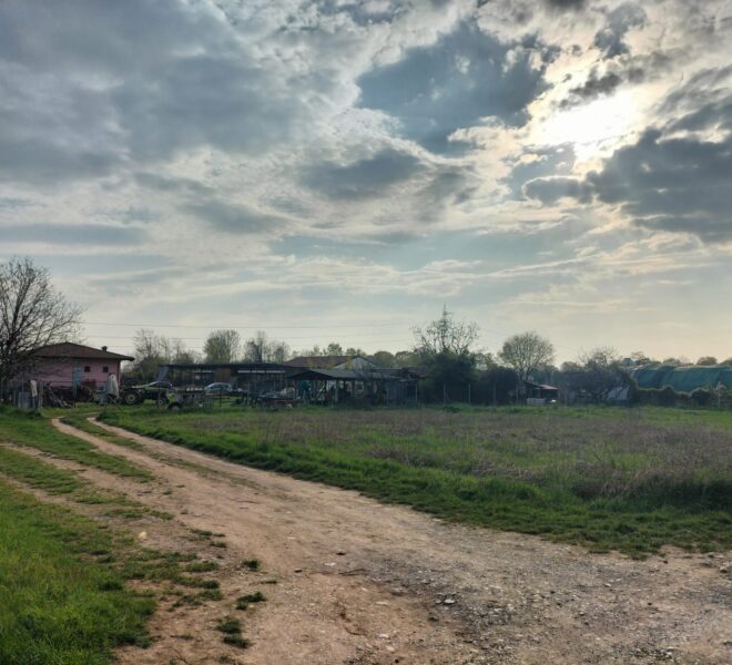 1ed26105-a9f2-4e49-8ae8-cecdd074dc77