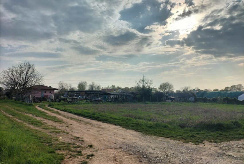 1ed26105-a9f2-4e49-8ae8-cecdd074dc77