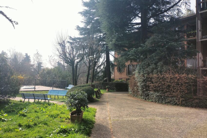 2a921b97-85c4-4807-88d2-cdea7840acc9