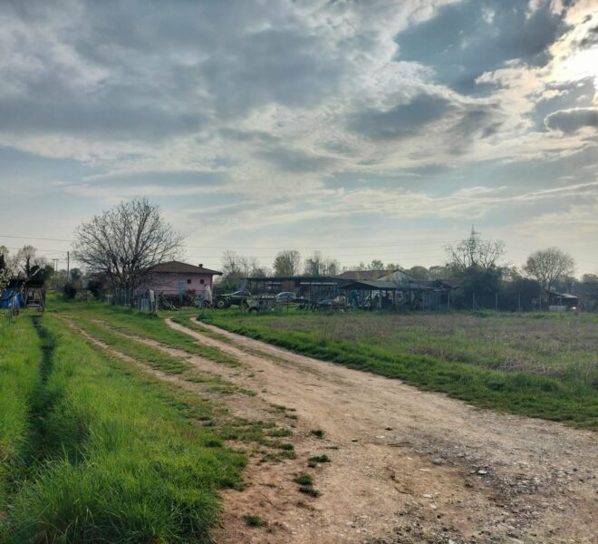 5594017e-00dd-4dd8-8d32-9196bbfa6f1e