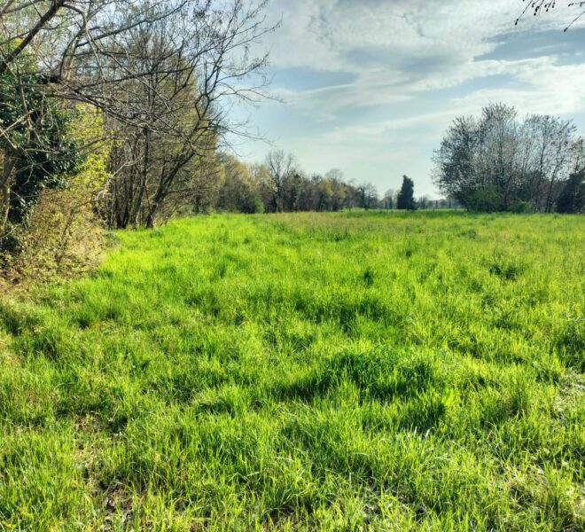 55d63f8e-40d9-45e2-92a6-77d07018eabe