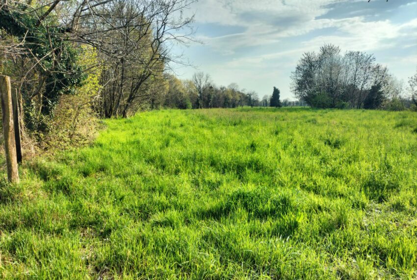 55d63f8e-40d9-45e2-92a6-77d07018eabe