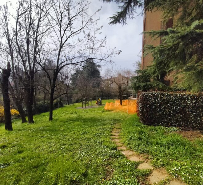 6cc0dad4-1137-41f4-be4b-04dc96571046