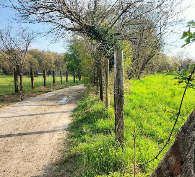 6cc4cb79-85a4-41f0-8d10-51cccbb039d9