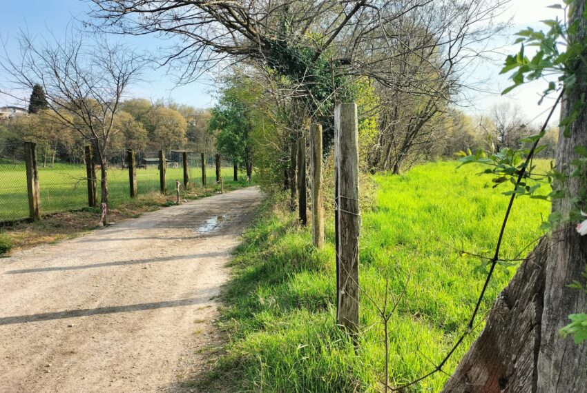 6cc4cb79-85a4-41f0-8d10-51cccbb039d9