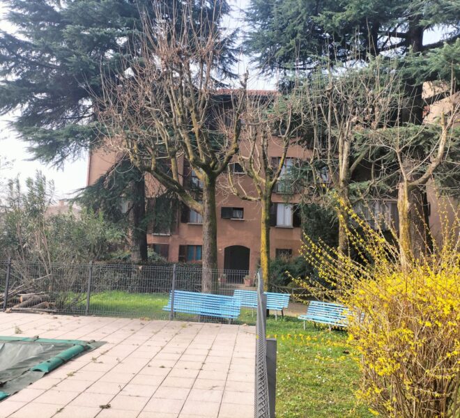 6f1c3062-b981-4641-a5c3-a1559baf12ac