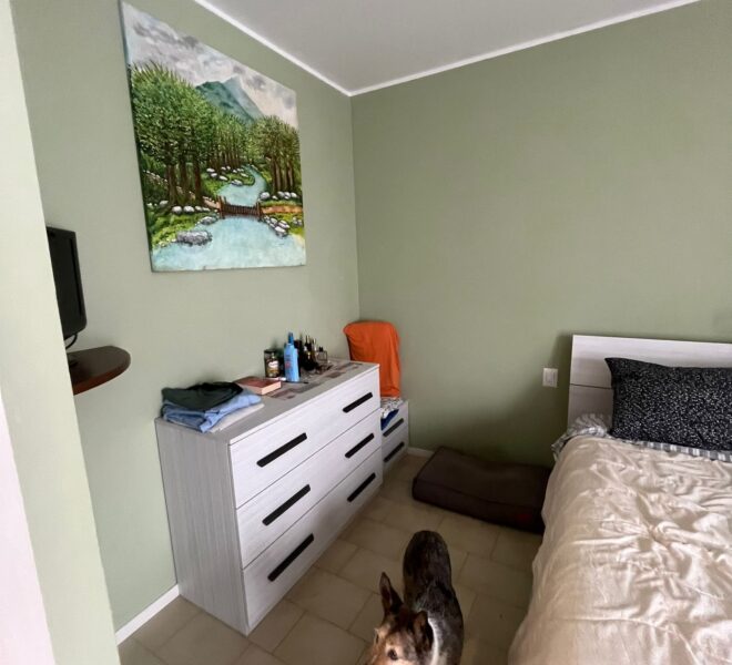 8a462964-efcf-4e21-a6f8-d896e43c6f8f