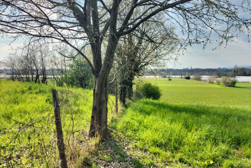 a64efbd0-5d50-434a-9d9e-d41225dd1798