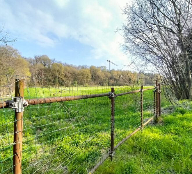 b553beab-471f-40e0-8ce9-0c1bcad2e904