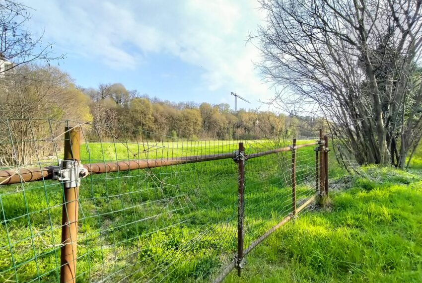 b553beab-471f-40e0-8ce9-0c1bcad2e904