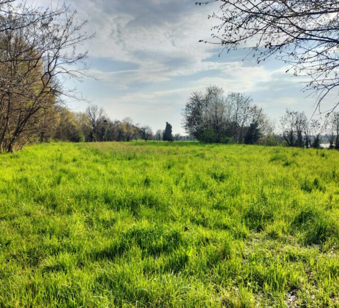 be83c661-8d40-4c1a-9aec-e288a0825a58