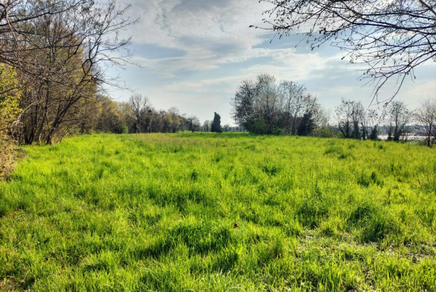 be83c661-8d40-4c1a-9aec-e288a0825a58