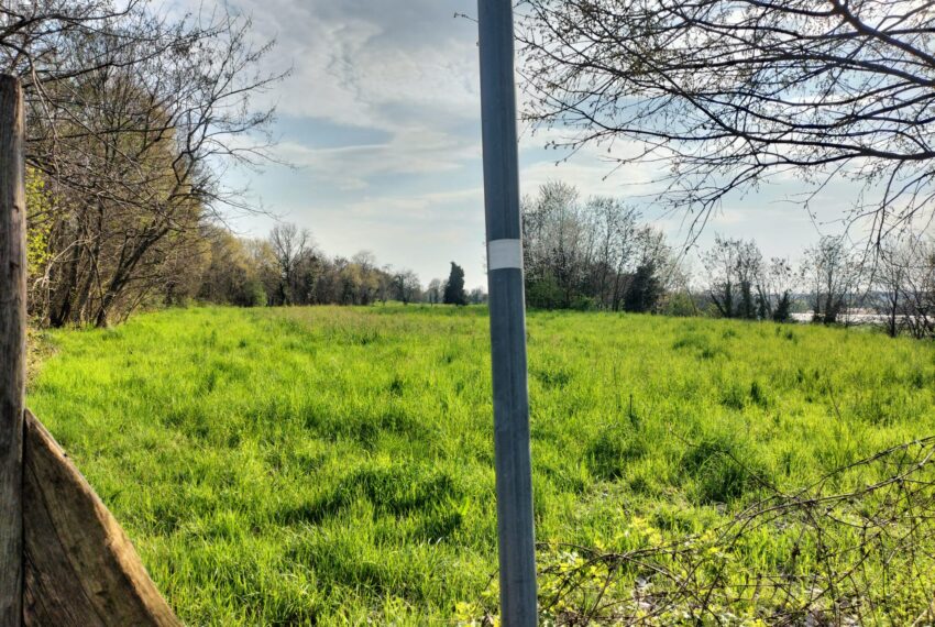 c6d15cbc-59dd-4a15-8fe3-fc8fd47005ee