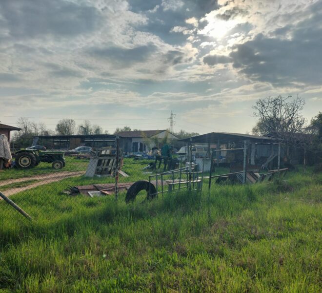 d9e6c0b6-c457-4474-963f-243950d275f0